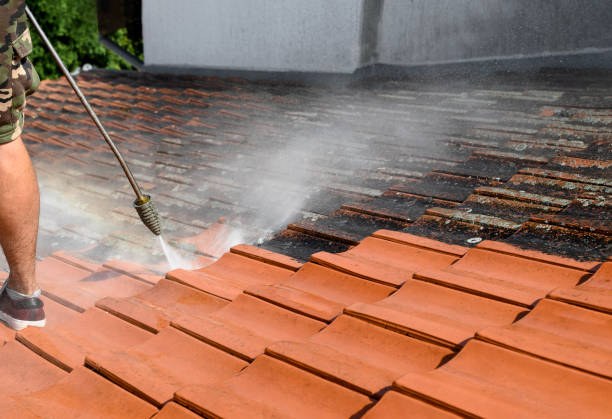 Best Roof Pressure Washing  in Murphy, TX
