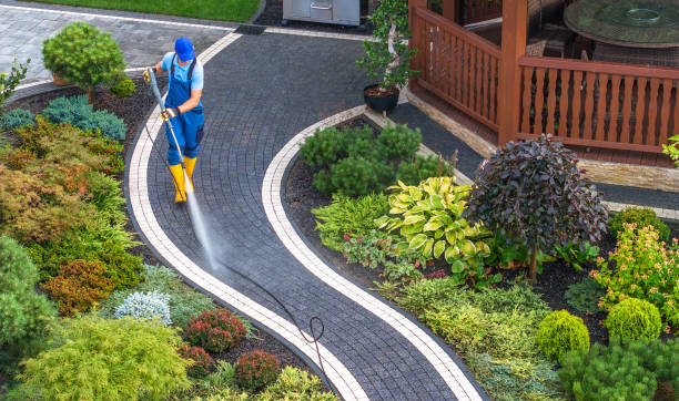 Best Pressure Washing Company Near Me  in Murphy, TX